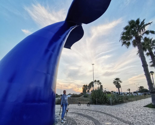 Tolle Flosse in Oeiras